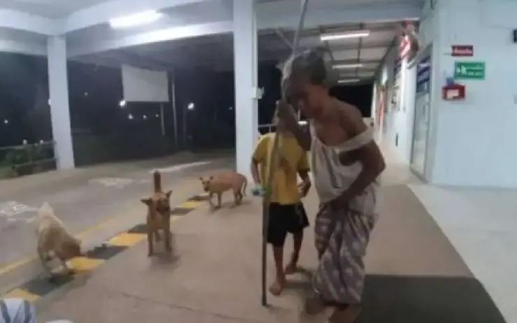 Mulher cega desmaia às margens de um rio e dois cães sem-teto agem para salvá-la caes-de-rua-salvam-mulher-a-beira-de-rio